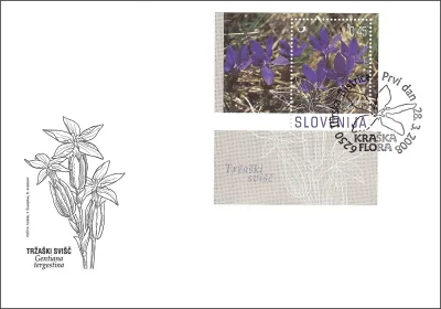 RASTLINSTVO - KRAŠKA FLORA